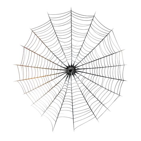 cobweb dthrip|Cobweb .